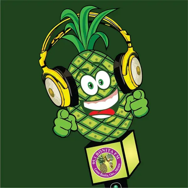 Bonita FM 95.1 radio logo