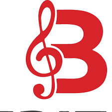 Bistrița FM -Bistrița 92,6 FM radio logo