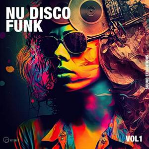 Nu Disco Funk Radio radio logo