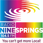 Radio Ninesprings radio logo