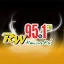 RW 95.1 FM - DWRW radio logo
