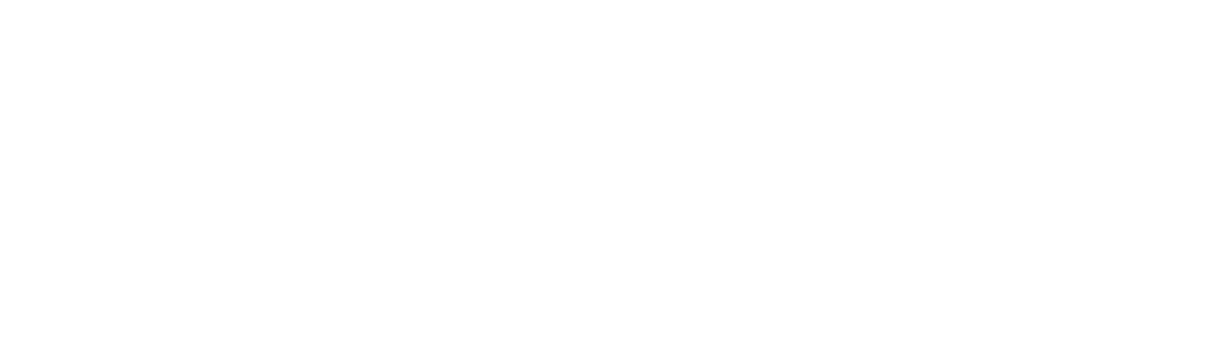 Radio Darmstadt radio logo