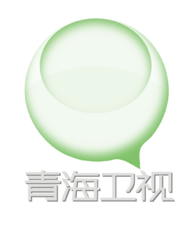 青海卫视伴音 radio logo