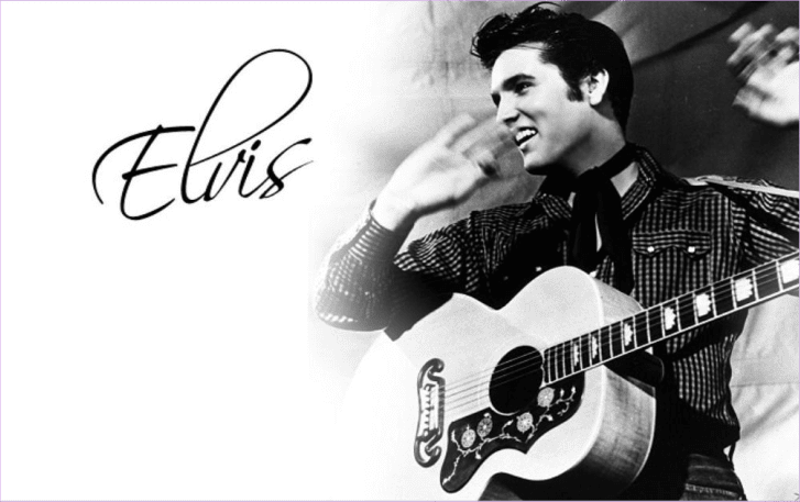 Elvis And Company radio logo