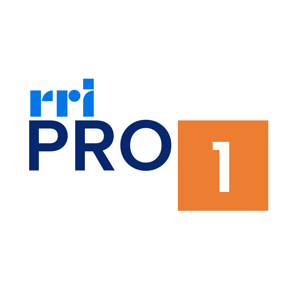 RRI Pro 1 Jakarta 91.2 FM radio logo