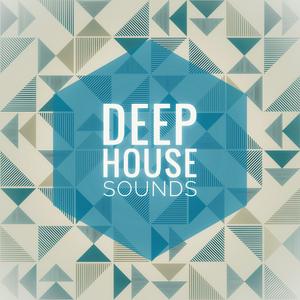 Deep House Sounds radio logo