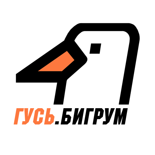ГУСЬ.Бигрум radio logo