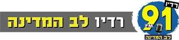 91FM radio logo