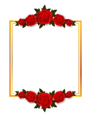 Ady picyu radio logo