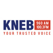 94.1 The Brand radio logo