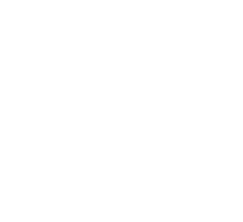 Paranoise radio logo