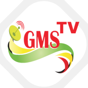 GMS FM 89.3 Ziguinchor radio logo