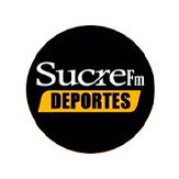 Play FM 95.3 radio logo