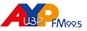 Radio AYP FM radio logo