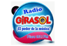 Radio Girasol Piura radio logo