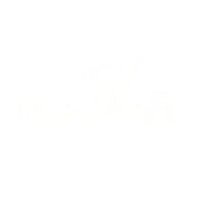MuzicaDeVest radio logo