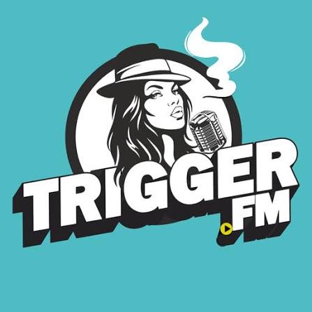 TRIGGER.FM (PAUL) - Electro/House/Dance radio logo