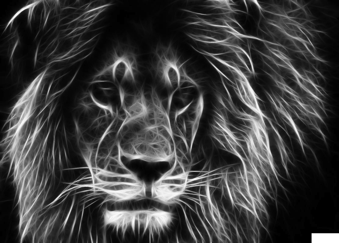 Electric Lion Radio London radio logo