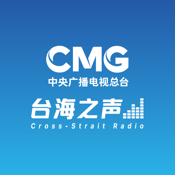 台海之聲 radio logo