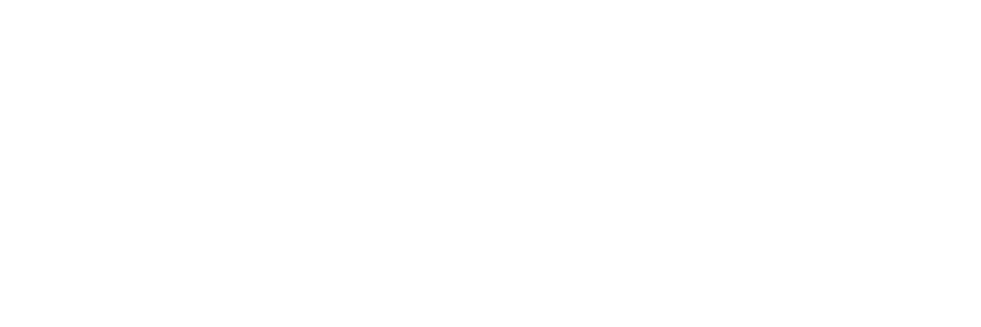 LM Radio radio logo