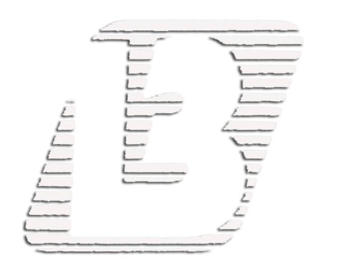Bitlis FM 98.8 radio logo