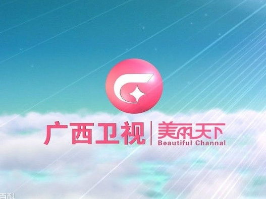 广西卫视伴音 radio logo
