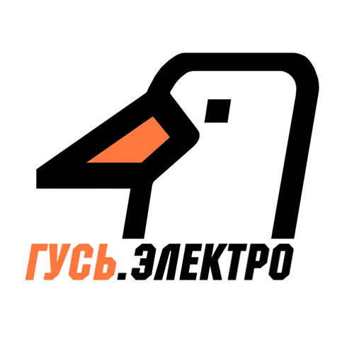 ГУСЬ.Электро radio logo