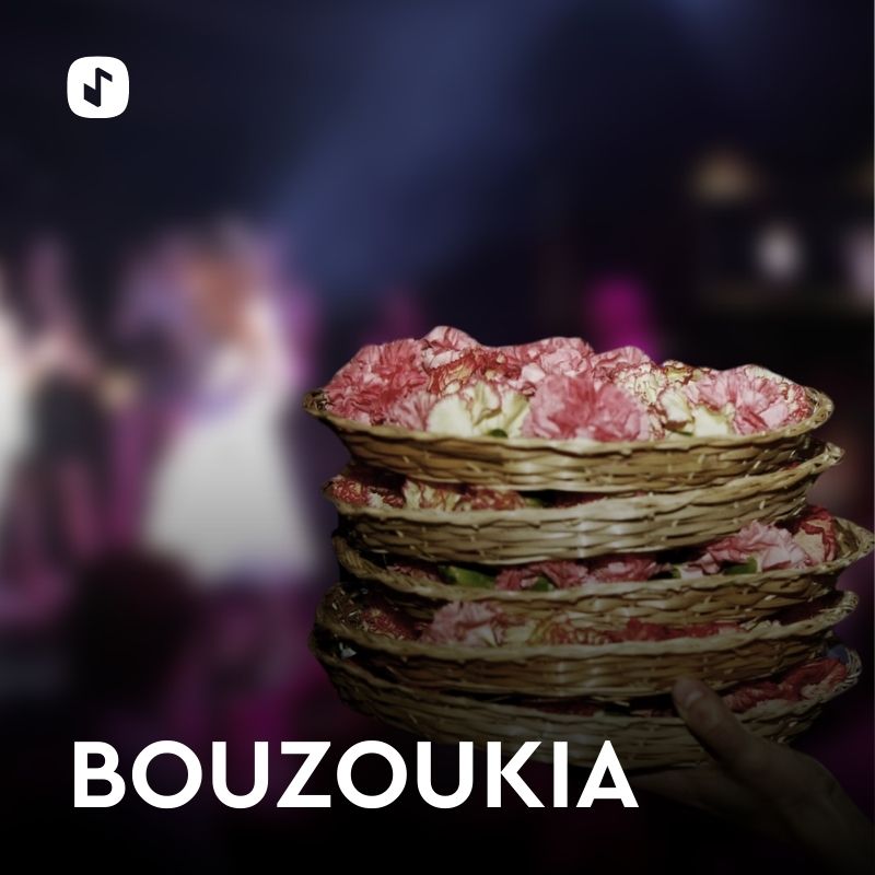 Streamee Bouzoukia radio logo