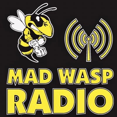 Mad Wasp Radio radio logo