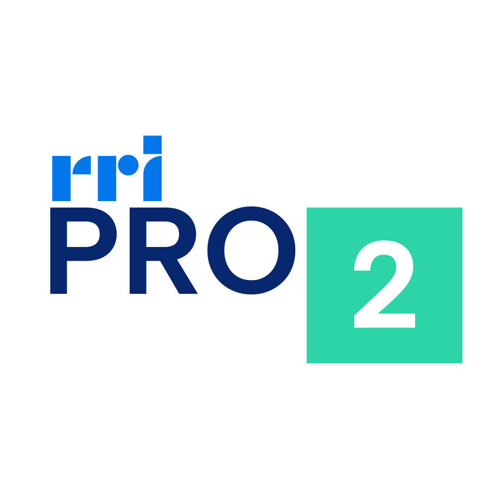 RRI Pro 2 Jakarta radio logo
