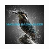 NATURE RADIO SLEEP radio logo