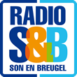 Radio Son en Breugel radio logo