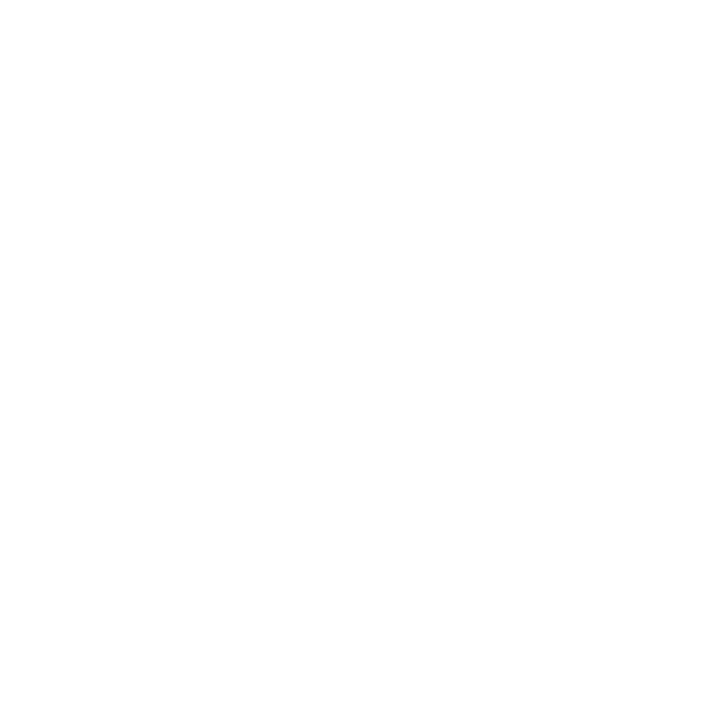 Radio Pirate Live radio logo