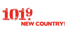 101.9 The Bull radio logo
