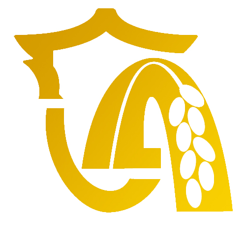 隆安综合广播（微赞视频慢直播线路） radio logo