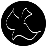 Loving Grace Radio radio logo