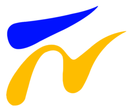 宁夏卫视伴音 radio logo