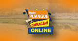 Radio puangue radio logo