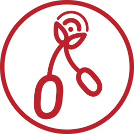 🍒 La Radio sous la Cerise 🍒 radio logo