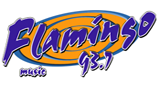 Flamingo Stereo 93.7 FM radio logo