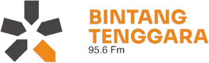 Radio Bintang Tenggara radio logo