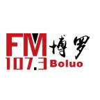 博罗综合广播 radio logo