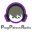 Prog Palace Radio's The Courtyard radio logo