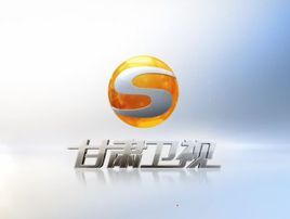 甘肃卫视伴音 radio logo
