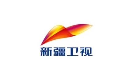 新疆卫视伴音 radio logo