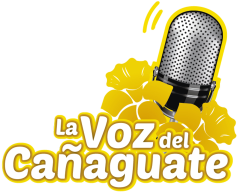 La Voz Del Cañaguate 860 AM radio logo