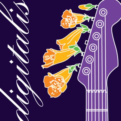 SomaFM Digitalis (128k AAC) radio logo