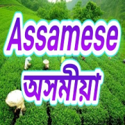 All India Radio Air Assamese radio logo