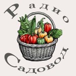 Садовод radio logo