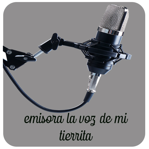 La voz de mi tierrita 94.1 FM radio logo